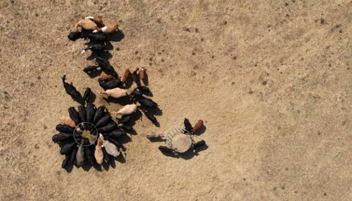 'Earth registers second-hottest July on record'