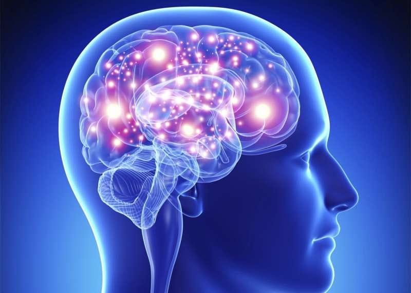New Study Finds Men’s Brains Age Faster Than Women’s, Raising Concerns About Cognitive Health