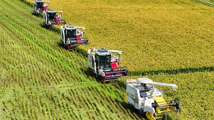 Punjab Delegation Explores Satellite Technology with China’s Piesat to Modernize Agriculture Sector