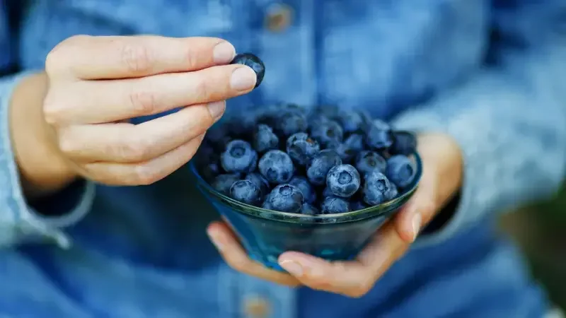 Blueberry Juice Boosts Memory by 42%, New Study Reveals Groundbreaking Brain Health Benefits