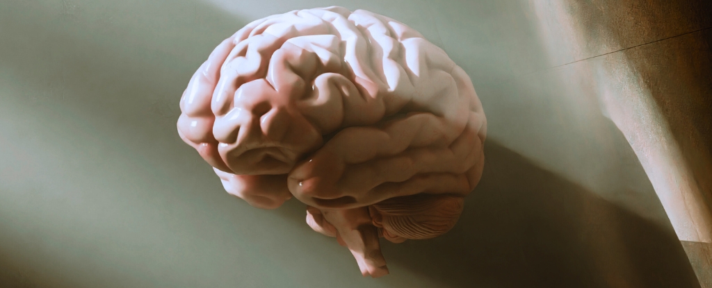 Poor Sleep May Accelerate Brain Aging, Large Study Suggests