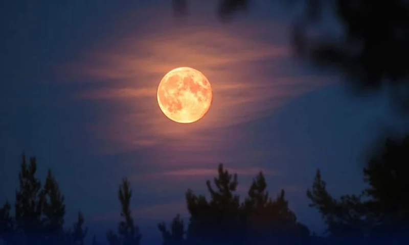 When to See the First Supermoon of 2025 in Pakistan: Date and Viewing Details