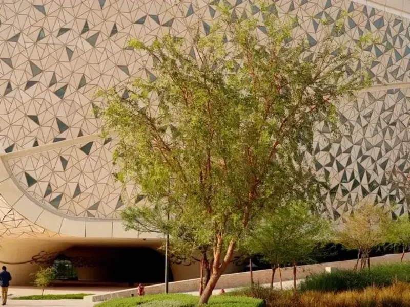 Hamad Bin Khalifa University Scholarship 2026 Announced: Fully Funded Study Opportunities in Qatar for International Students
