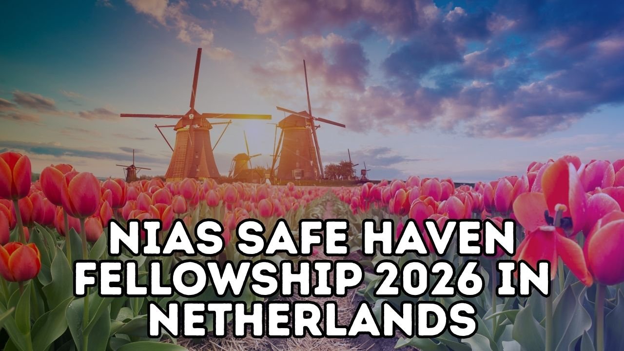 Applications Open for Fully Funded NIAS Safe Haven Fellowship 2026 in the Netherlands