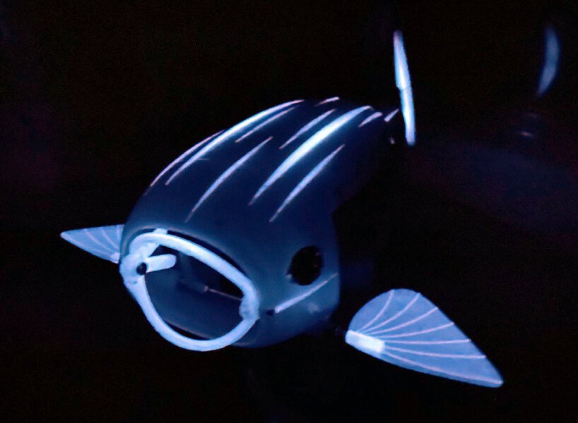 University of Surrey Student Develops 3D-Printed Robotic Fish to Fight Microplastic Pollution