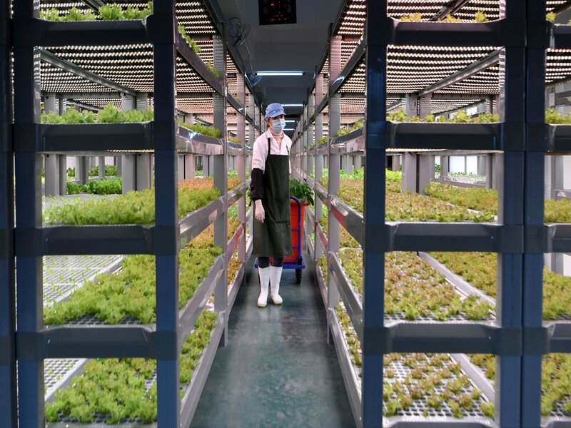 China Unveils World’s First AI-Powered 20-Storey Vertical Plant Factory in Chengdu