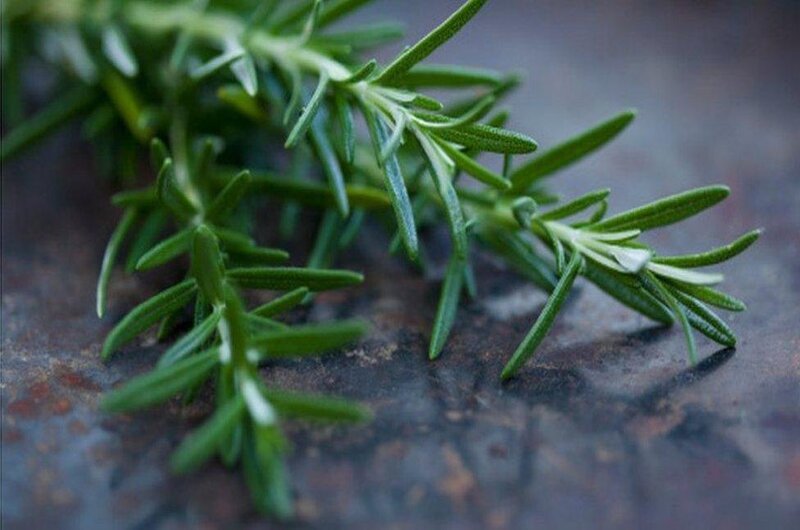 Forget Memory Pills — Scientists Say Rosemary Scent Can Boost Memory by 75%