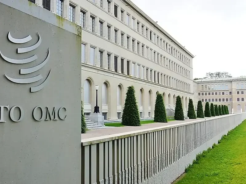 WTO Internship Programme 2025 Opens for Applications | Fully Paid International Internship Opportunity