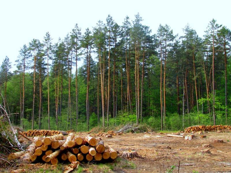 NAB Balochistan Recovers Over 1 Million Acres of Encroached Forest Land Worth Rs. 1.3 Trillion in Major Anti-Encroachment Drive