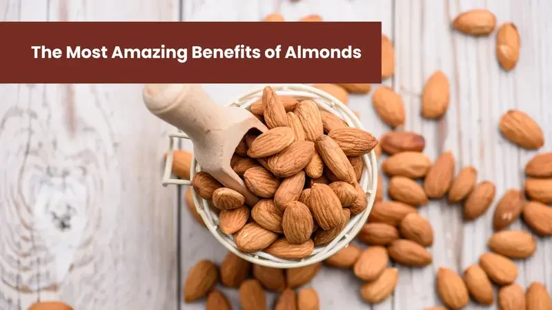 What Happens to Your Body When You Eat Almonds Regularly? Science-Backed Benefits Explained