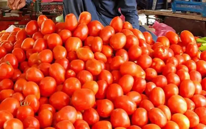 Relief for Consumers as Tomato Prices Decrease Across Karachi Markets