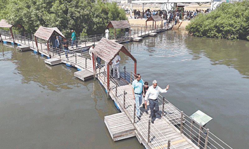 Karachi Launches Pakistan’s First Mangrove Biodiversity Park at Korangi Creek