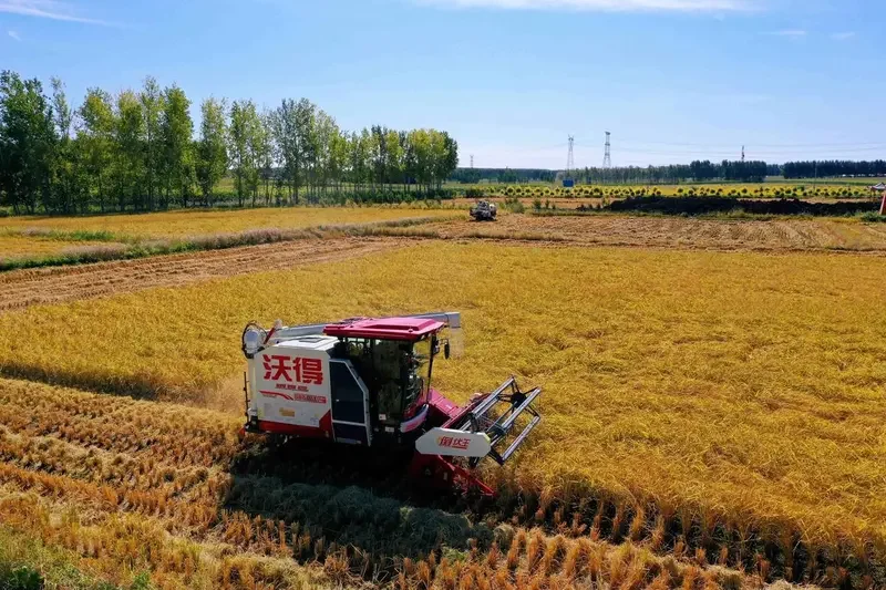 Pakistan Conducts Successful Test of Advanced Chinese Rice Harvester to Boost Agricultural Efficiency