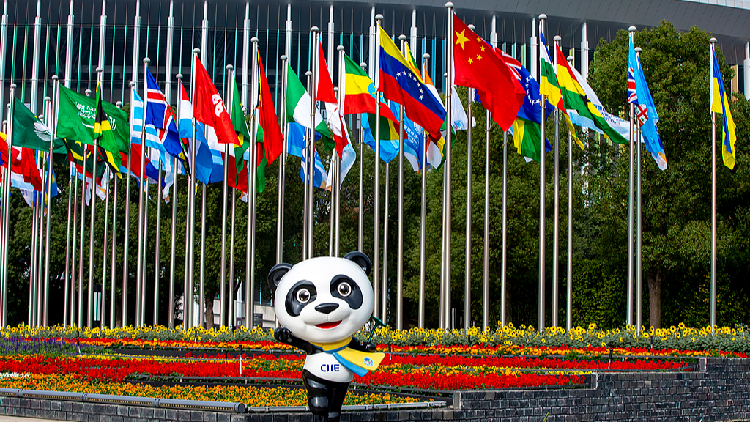 8th China International Import Expo Boosts Trade Opportunities for Global South and LDCs