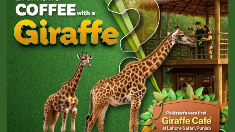 Lahore to Open Pakistan’s First-Ever Giraffe Café at Safari Park