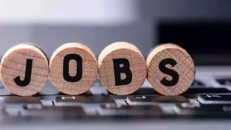 Sindh Government Announces 504 Junior Clerk Vacancies Across Departments