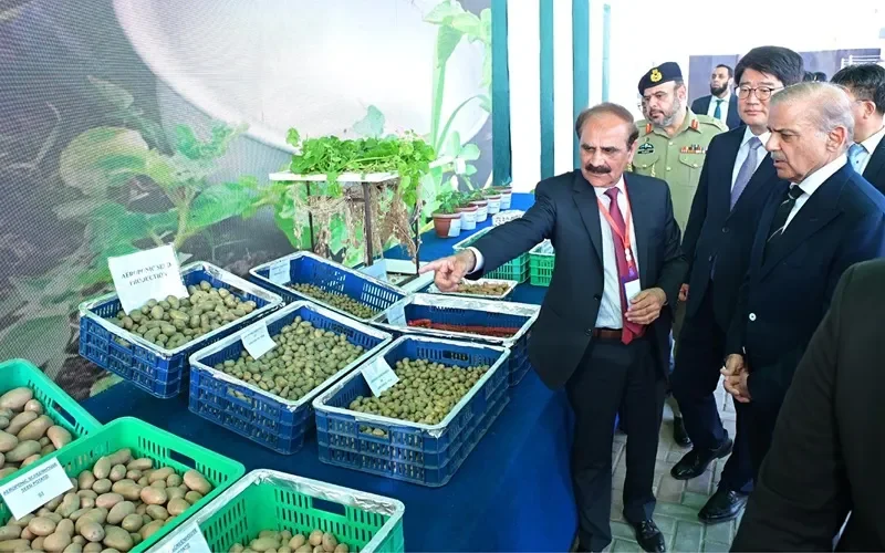 Pakistan, South Korea Partner to Launch High-Tech Seed Potato Production Centre in Islamabad