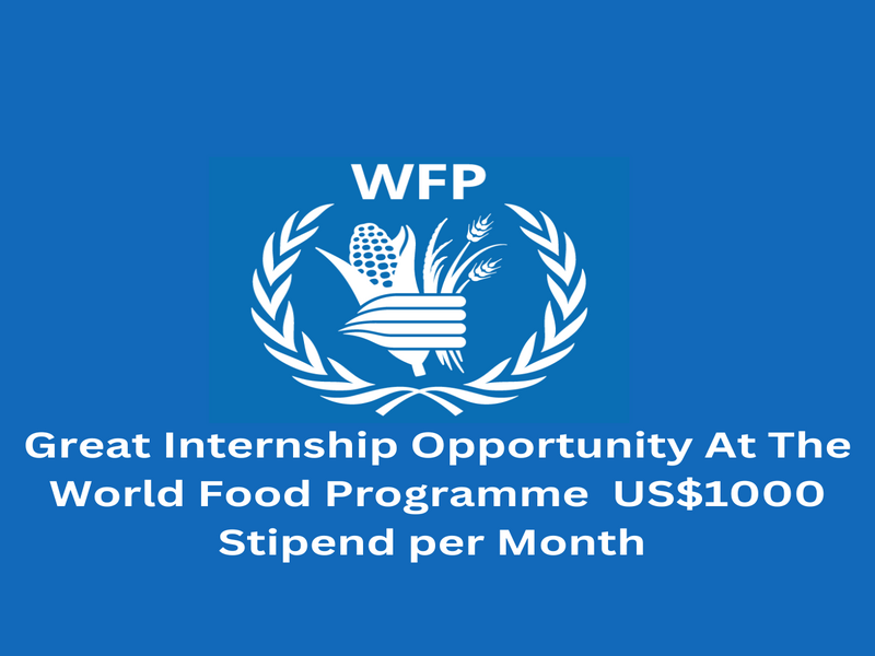 World Food Programme (WFP) Announces Paid Internship Program 2025 for International Students