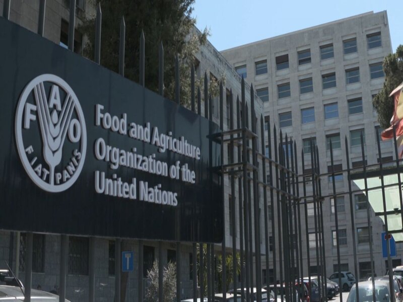 FAO Announces Fully Paid Internship Program 2026 for International Students and Young Professionals