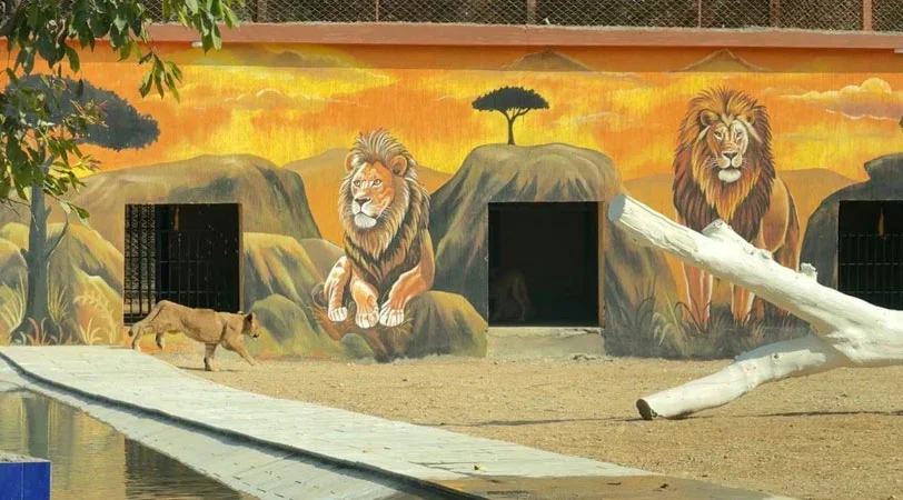 Karachi Mayor Murtaza Wahab Inaugurates Renovated Zoo Facilities, Including New Lion Enclosure and Upgraded Reptile House