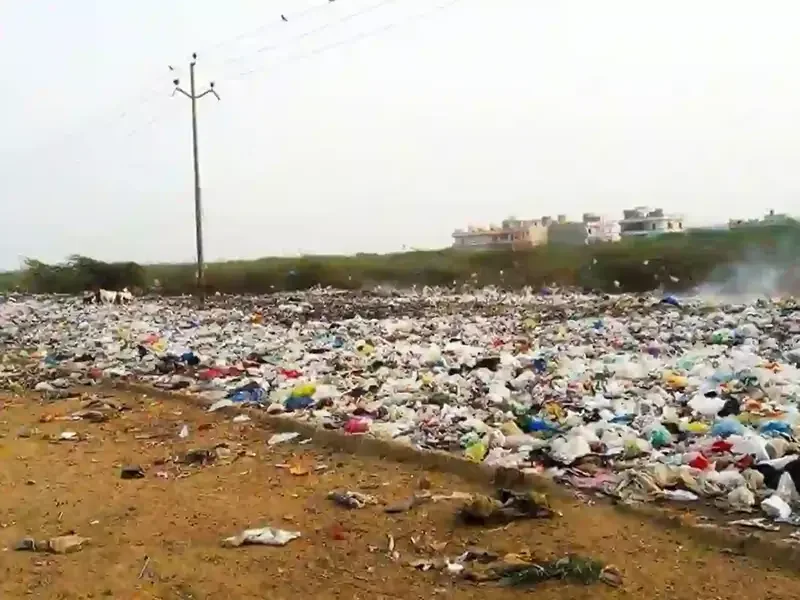 Karachi Generates Over 14,800 Tonnes of Daily Waste, Surpassing Mumbai, Delhi, and Dhaka: SSWMB