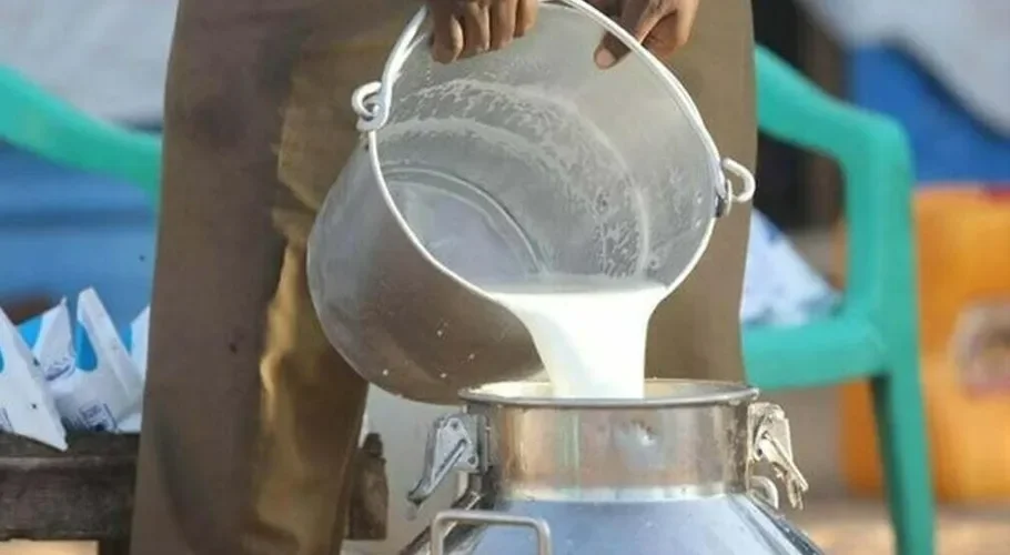 Karachi Sets Official Retail Milk Price at Rs. 220 per Liter to Curb Hoarding and Overpricing