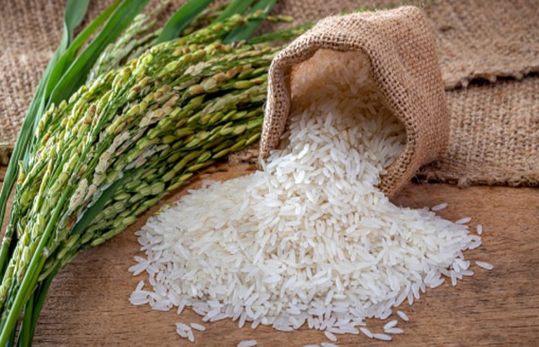Pakistan’s Rice Exports to China Jump 14% to $49.37 Million in Jan–Nov 2025, Food Shipments See Strong Growth