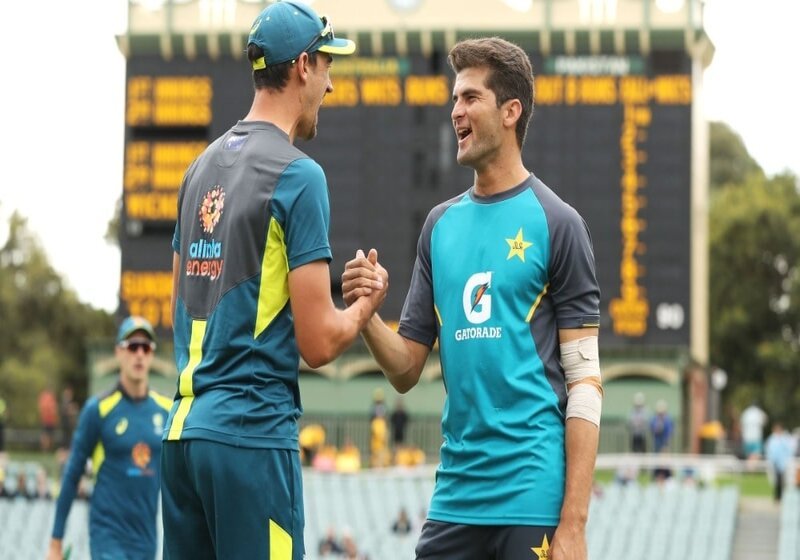 Shaheen Shah Afridi Hails Mitchell Starc as a Legend, Citing 2015 World Cup Performance as Inspiration for Young Bowlers