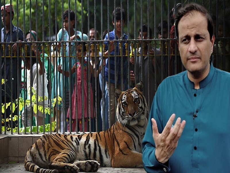 Karachi Mayor Approves Major Renovation of Karachi Zoo to Improve Animal Welfare and Visitor Experience