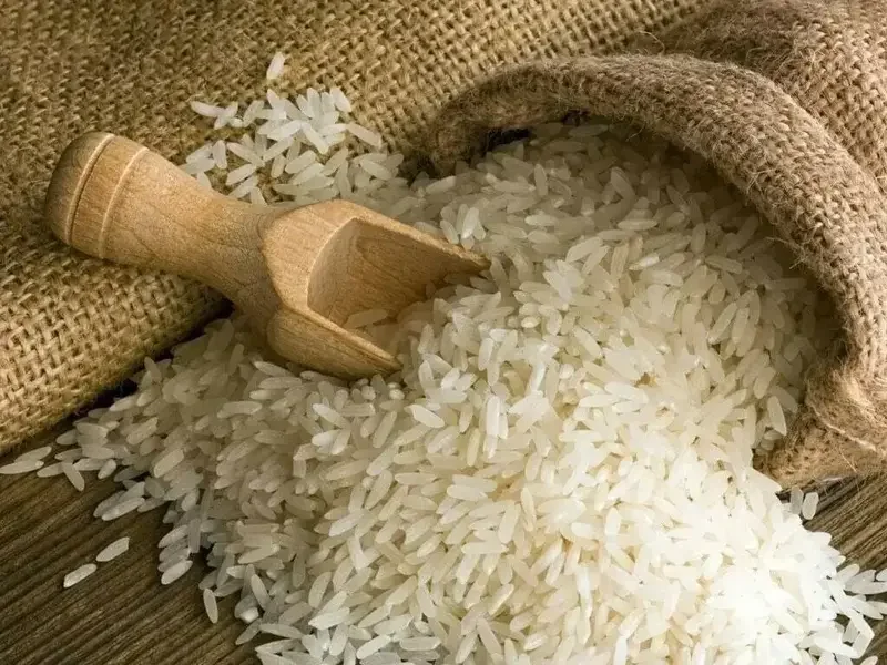 Pakistan and Turkiye Agree to Strengthen Bilateral Rice Trade