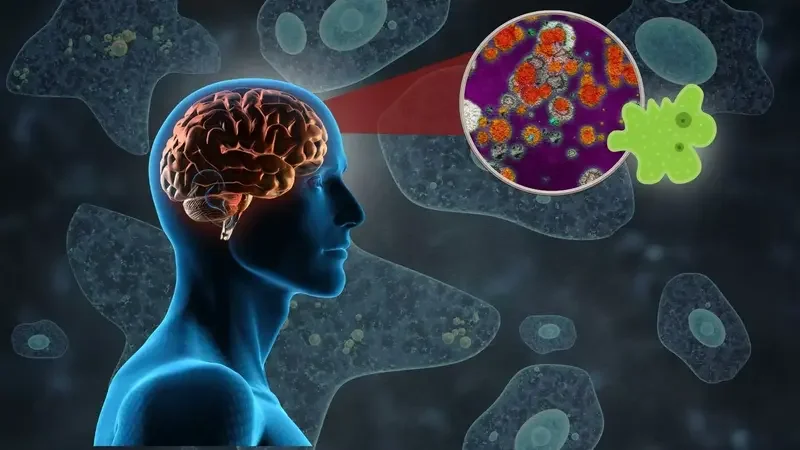 Scientists Warn of “Brain-Eating” Amoebae in Water Systems, Urge Preventive Action