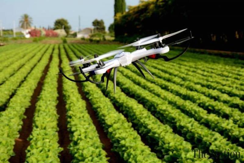 Punjab to Deploy Drones for Agricultural Work, Transforming Farming Practices