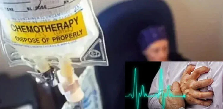 Punjab Government Approves Free Treatment for Cancer, Stroke, and Heart Patients