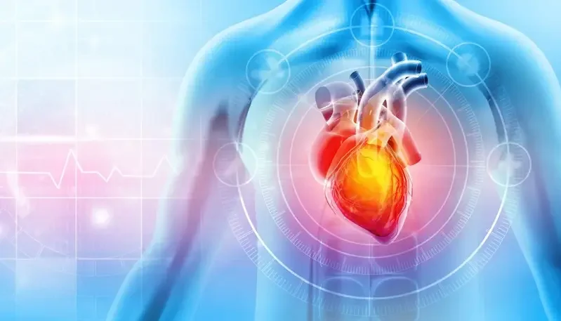 New Study Reveals Hidden Bacterial Infections as Key Trigger for Heart Attacks