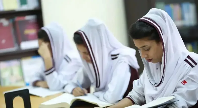 Punjab Ends Free Nursing Education in Government Colleges, Introduces Tuition, Hostel Fees and Revised Admission Rules