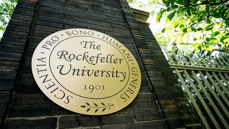 Rockefeller University 2026 Summer Fellowship Program in the USA Open for Applications
