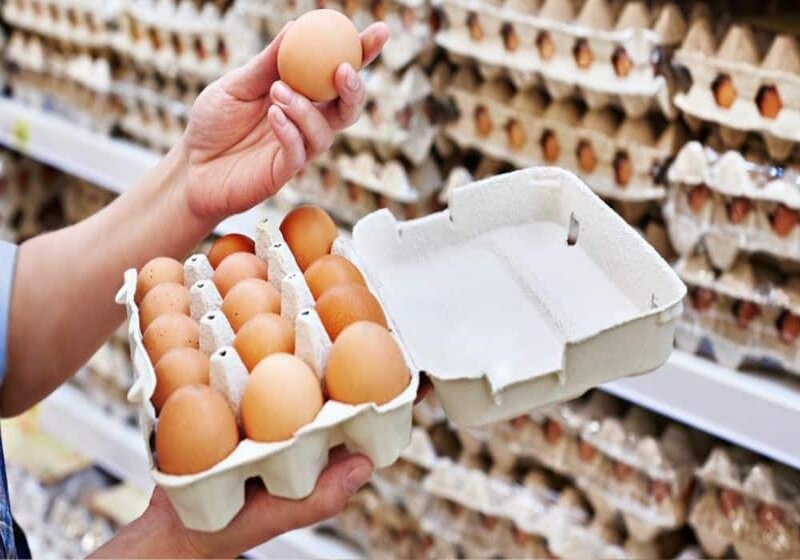 Pakistan’s Leading Enriched Eggs Exporter Expands Presence in Gulf Markets