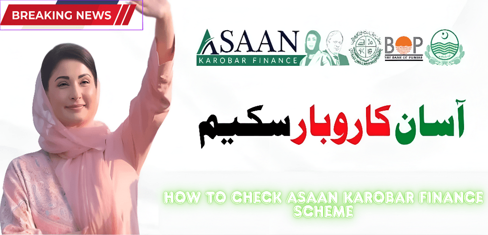How to Check Asaan Karobar Finance Scheme Application Status Online