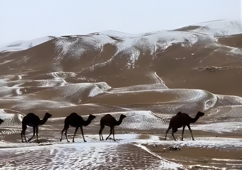 Rare Snowfall in Balochistan’s Nushki Desert Stuns Locals, Highlights Pakistan’s Unusual Weather Patterns