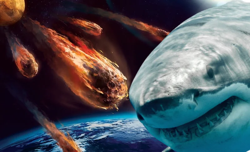 AI Study Reveals How Sharks Survived the Dinosaur-Killing Asteroid