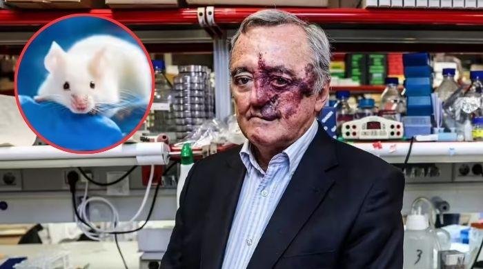 Scientists Achieve Breakthrough by Successfully Eliminating Pancreatic Cancer in Mice for the First Time