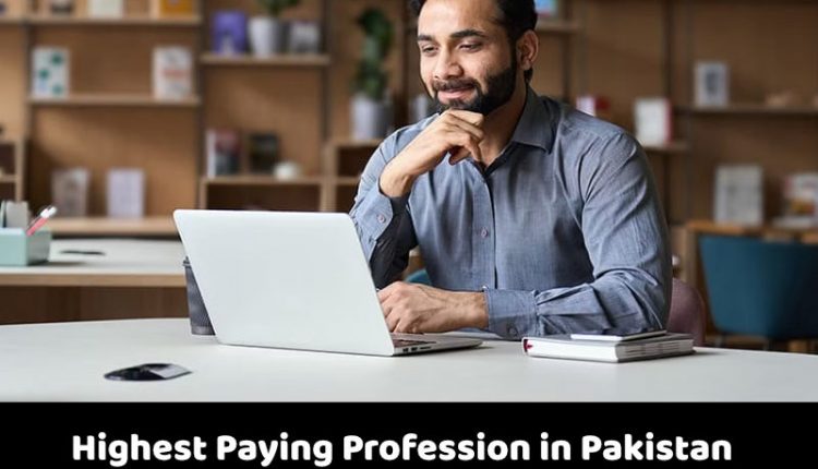 What are the High-Paying Professions in Pakistan?