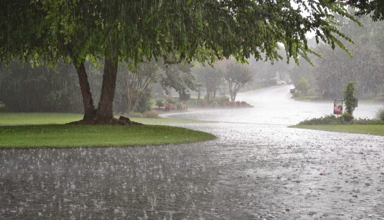 Pakistan Weather Forecast: Heavy Rainfall Expected in Multiple Regions