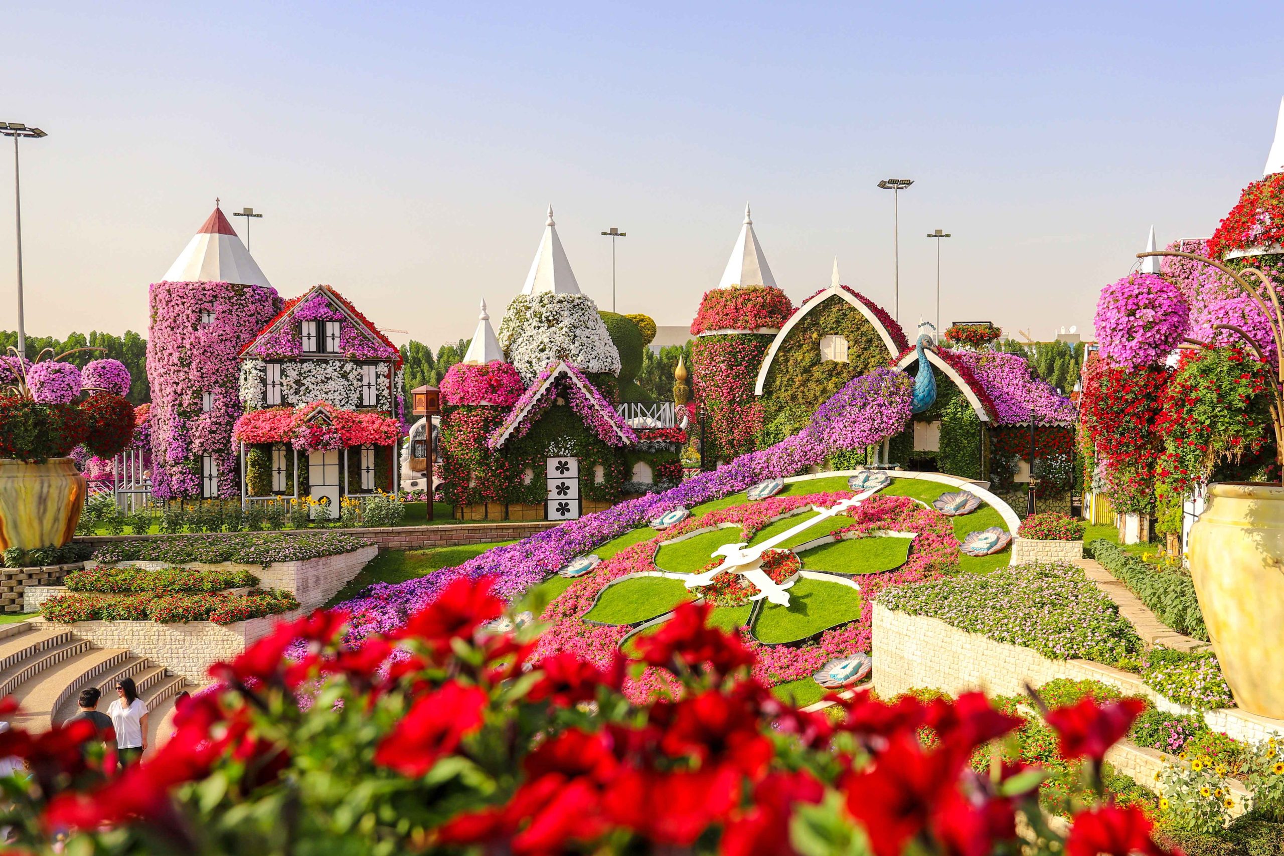 Exclusive Discounts for UAE Residents at Dubai Miracle Garden